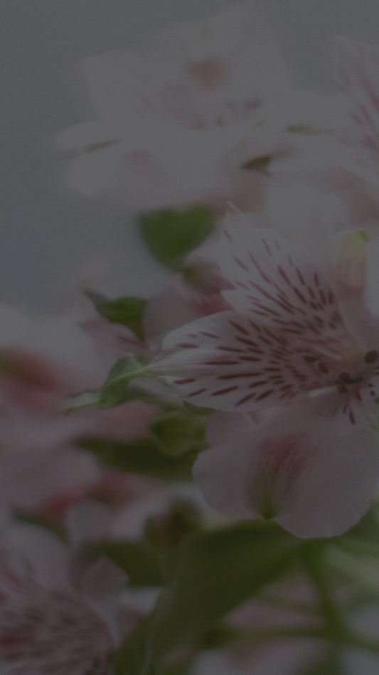 LED PIR Motion Sensor Cabinet  With USB Rechargeble