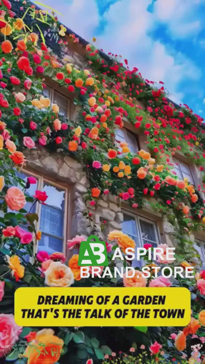 Elegant Climbing Rose Flower Seeds