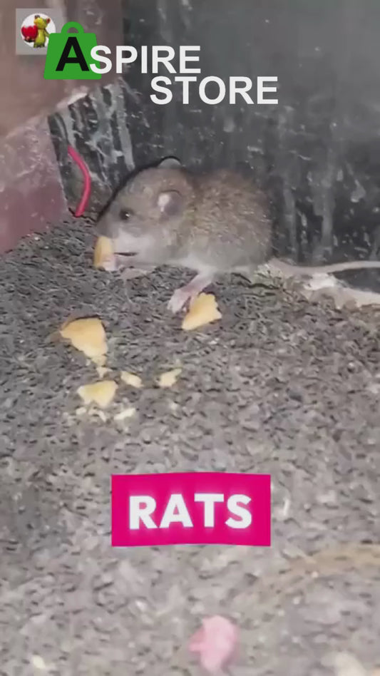 Rat Repellent Spreay 50ML (Pack of 2)