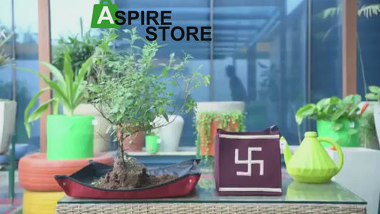 Tulsi Plant Grow Bag for Home/Gardening