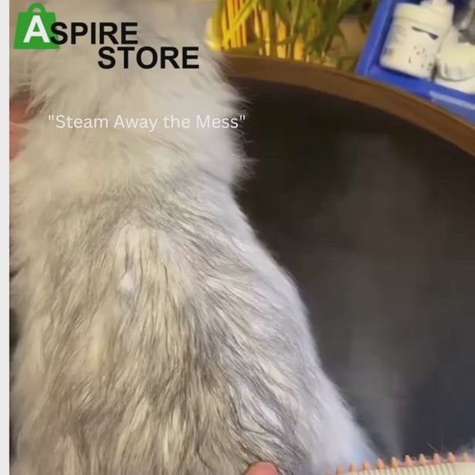 Steam Brush for Dog/Cat